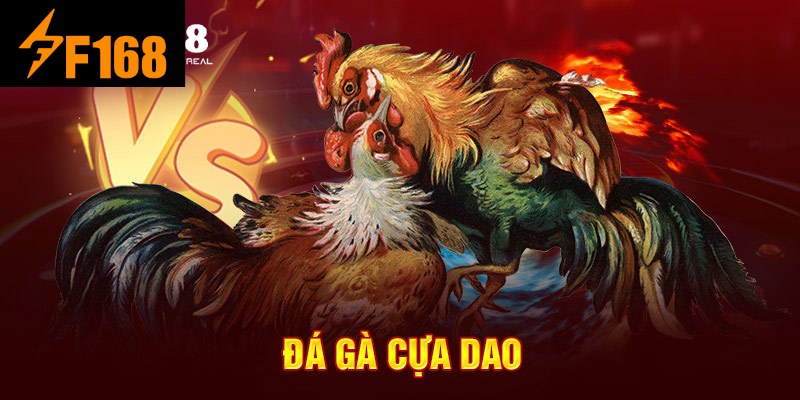 Đá Gà Cựa Dao – Những Quy Tắc Và Kỹ Thuật Đặc Biệt F168